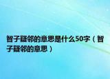 智子疑邻的意思是什么50字（智子疑邻的意思）