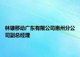 林雄移动广东有限公司惠州分公司副总经理