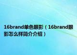 16brand单色眼影（16brand眼影怎么样简介介绍）