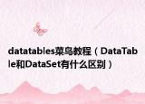 datatables菜鸟教程（DataTable和DataSet有什么区别）