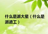 什么是派大星（什么是派遣工）