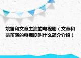 姚笛和文章主演的电视剧（文章和姚笛演的电视剧叫什么简介介绍）
