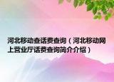 河北移动查话费查询（河北移动网上营业厅话费查询简介介绍）
