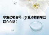 水生动物百科（水生动物有哪些简介介绍）