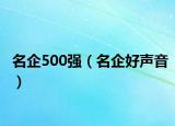 名企500强（名企好声音）