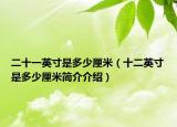 二十一英寸是多少厘米（十二英寸是多少厘米简介介绍）
