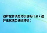 迪拜世界债务危机说明什么（迪拜主权债务违约危机）