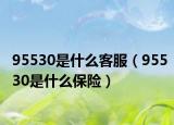 95530是什么客服（95530是什么保险）