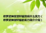 修罗武神里楚轩辕到底什么实力（修罗武神楚轩辕的实力简介介绍）