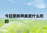 今日更新燕麦是什么吃的