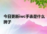今日更新iwc手表是什么牌子