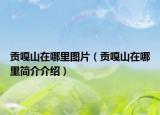 贡嘎山在哪里图片（贡嘎山在哪里简介介绍）