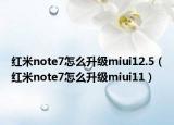 红米note7怎么升级miui12.5（红米note7怎么升级miui11）