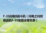 F-35闪电II战斗机（闪电之闪终极战机F-35发展全程实录）