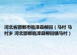 河北省邯郸市临漳县柳园（马村 马村乡 河北邯郸临漳县柳园镇马村）