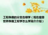工程侏儒的分支在哪学（现在魔兽世界侏儒工程学怎么学简介介绍）