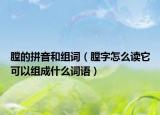 膛的拼音和组词（膛字怎么读它可以组成什么词语）