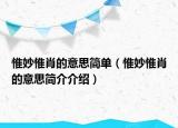 惟妙惟肖的意思简单（惟妙惟肖的意思简介介绍）