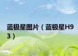 蓝极星图片（蓝极星H93）
