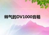 帅气的DV1000音箱