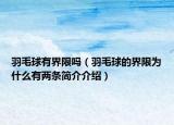 羽毛球有界限吗（羽毛球的界限为什么有两条简介介绍）