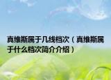 真维斯属于几线档次（真维斯属于什么档次简介介绍）