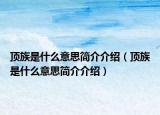 顶族是什么意思简介介绍（顶族是什么意思简介介绍）