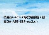 技嘉ga-a55-s3p安装系统（技嘉GA-A55-S3Prev.2.x）