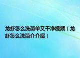 龙虾怎么洗简单又干净视频（龙虾怎么洗简介介绍）