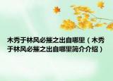 木秀于林风必摧之出自哪里（木秀于林风必摧之出自哪里简介介绍）