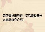 司马青衫是形容（司马青衫是什么意思简介介绍）