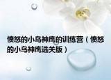 愤怒的小鸟神鹰的训练营（愤怒的小鸟神鹰选关版）