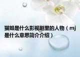猫姐是什么影视剧里的人物（mj是什么意思简介介绍）