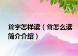 耸字怎样读（耸怎么读简介介绍）