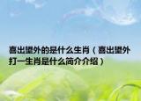 喜出望外的是什么生肖（喜出望外打一生肖是什么简介介绍）