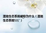 湿地生态系统被称为什么（湿地生态系统\