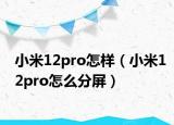 小米12pro怎样（小米12pro怎么分屏）