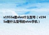 v1955a是vivo什么型号（v1945a是什么型号的vivo手机）