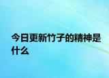 今日更新竹子的精神是什么