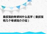 秦叔宝的老婆叫什么名字（秦叔宝有几个老婆简介介绍）