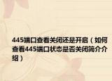 445端口查看关闭还是开启（如何查看445端口状态是否关闭简介介绍）