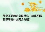 放荡不羁的含义是什么（放荡不羁的意思是什么简介介绍）
