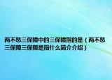 两不愁三保障中的三保障指的是（两不愁三保障三保障是指什么简介介绍）