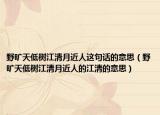 野旷天低树江清月近人这句话的意思（野旷天低树江清月近人的江清的意思）
