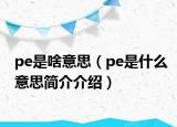 pe是啥意思（pe是什么意思简介介绍）