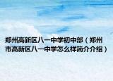 郑州高新区八一中学初中部（郑州市高新区八一中学怎么样简介介绍）