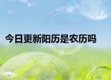 今日更新阳历是农历吗