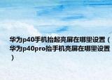 华为p40手机抬起亮屏在哪里设置（华为p40pro抬手机亮屏在哪里设置）