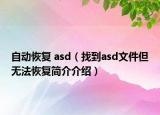自动恢复 asd（找到asd文件但无法恢复简介介绍）