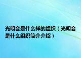 光明会是什么样的组织（光明会是什么组织简介介绍）